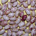 2015 New Crop Good Quality Light Speckled Kidney Bean